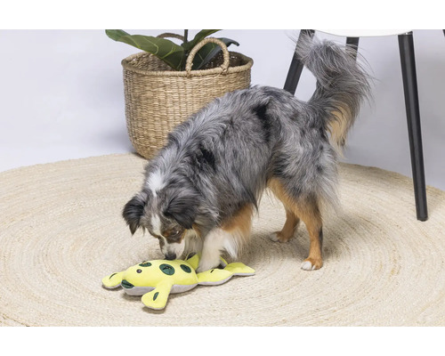 Een hond speelt met een geel knuffelkikker op een rond vloerkleed.