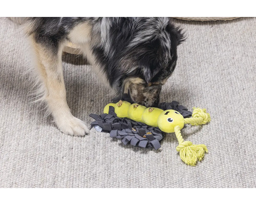 Hond verkent interactief voederspeelgoed met rupsontwerp op een snuffelmat