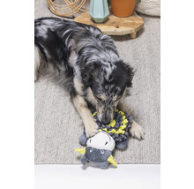 Een hond speelt met een knuffel op een tapijt.