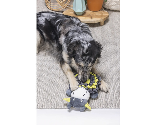 Een hond speelt met een knuffel op een tapijt.