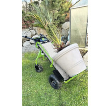 Kruiwagen met plant in pot in de tuin
