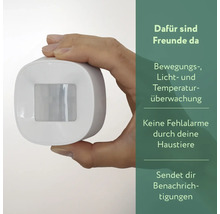 Bewegingsmelder voor bewegings-, licht- en temperatuurbewaking in de hand