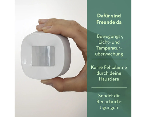 Bewegingsmelder voor bewegings-, licht- en temperatuurbewaking in de hand