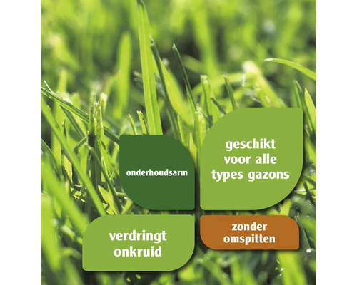 Informatie over gazononderhoud: onderhoudsarm, geschikt voor alle soorten gazons, verdringt onkruid, zonder omspitten