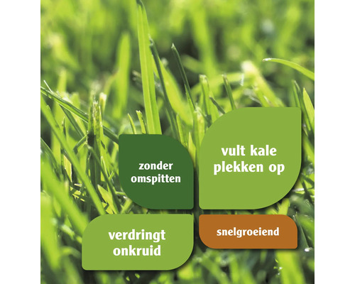 Symboolafbeelding voor gazon dat kale plekken opvult, onkruid verdringt, zonder spitten en snelgroeiend