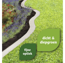 Tuinlandschap met bloemen, gazon en padbegrenzing