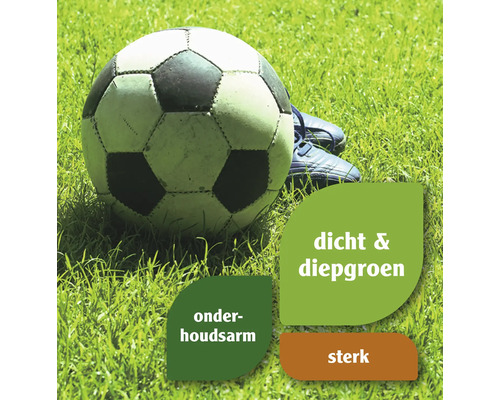 Voetbal op gras met symbolen voor dicht, diepgroen, onderhoudsarm en sterk gras