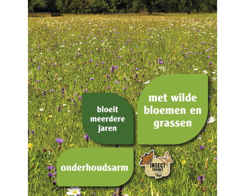 Bloeiende weide met wilde bloemen en grassen, meerjarig en onderhoudsarm