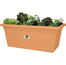 Rechthoekige plantenbak met beplanting