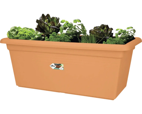 Rechthoekige plantenbak met beplanting