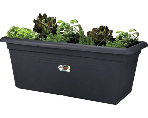 Rechthoekige plantenbak met sla en kruiden