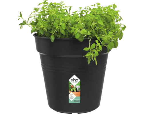 Zwarte plantenpot met kruiden en Elho logo