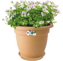 Bloempot met geraniums en Elho Logo