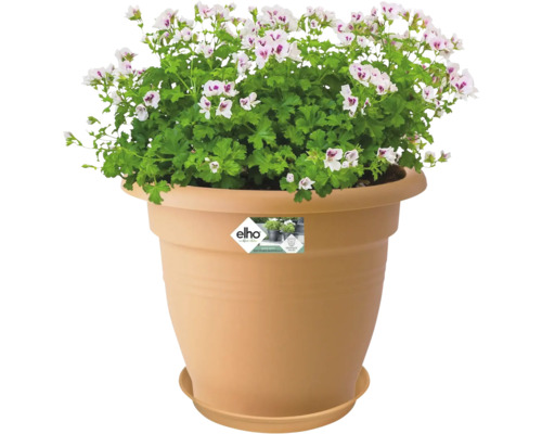 Bloempot met geraniums en Elho Logo