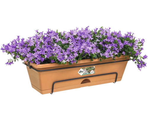 Bloembak met paarse klokjesbloemen en houder