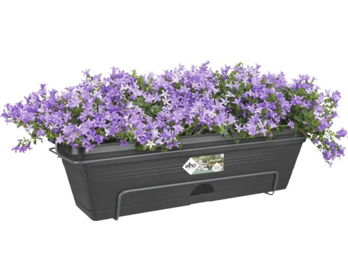 Balkonbak met paarse klokjesbloemen