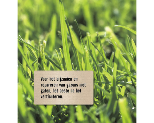 Close-up van gras met tekst over het opnieuw inzaaien en repareren van gazons met gaten, het beste na het verticuteren