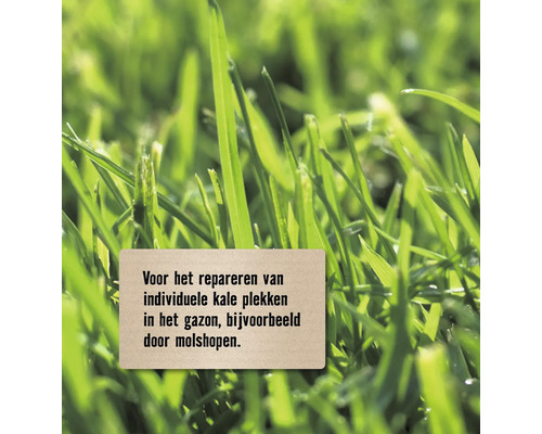 Gras voor het repareren van kale plekken in het gazon