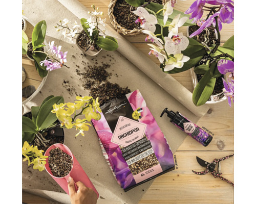 Arrangement met orchideeën, orchideeëngrond, meststof en tuinschaar op een tafel