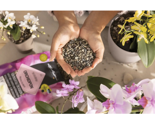 Een persoon houdt orchideeëngrond in de handen, omringd door orchideeën. De scène toont het gebruik van speciale grond voor orchideeënverzorging.