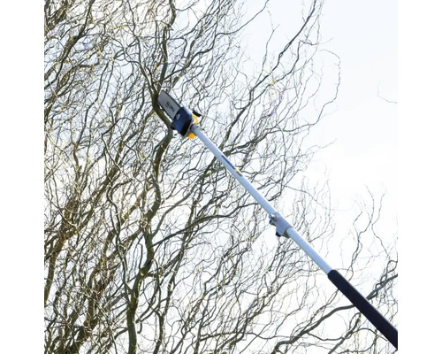 Telescopische boomzaag bij het snoeien van takken