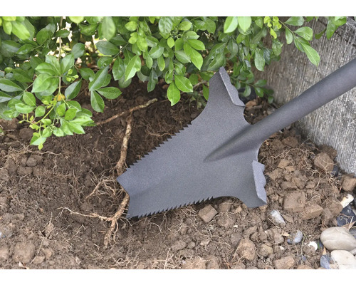 Spaten in gebruik voor het uitgraven van aarde en wortels in de tuin