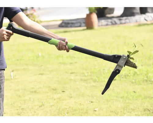 Persoon gebruikt een onkruidsteker om onkruid te verwijderen in de tuin.