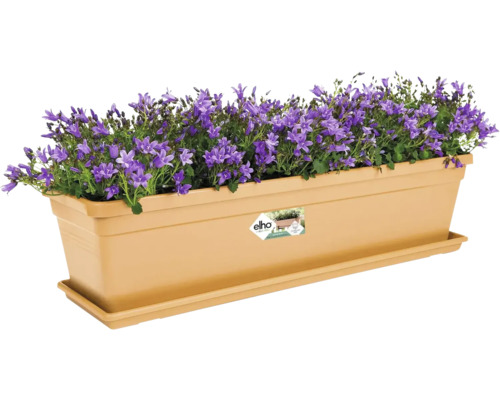 Bloembak met paarse klokjesbloemen