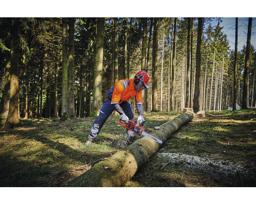 Een persoon met beschermende kleding zaagt met een kettingzaag een boomstam in het bos.
