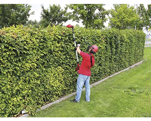 Een persoon snoeit een groene haag met een heggenschaar.