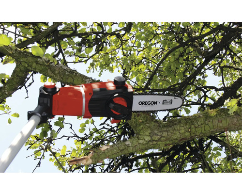 Telescopische zaag snijdt tak met bladeren