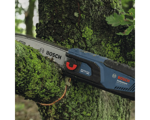 Bosch Logo. Bosch accukettingzaag bij het snoeien van een met mos bedekte tak.