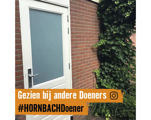 Voordeur met glazen paneel en roestvrijstalen handgreep naast een met klimop begroeide bakstenen muur