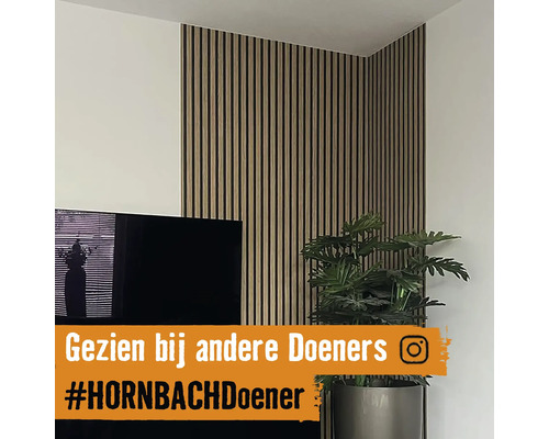 Woonkamer met akoestische panelen aan de muur, televisie en kamerplant