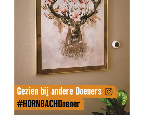 Ingelijste foto met hertenmotief en bloemversiering aan de muur
