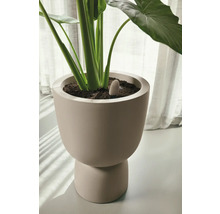 Kamerplant in een keramische plantenbak met vochtigheidssensor