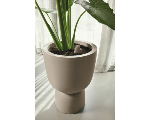 Kamerplant in een keramische plantenbak met vochtigheidssensor