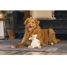 Hond ligt met knuffel op het tapijt