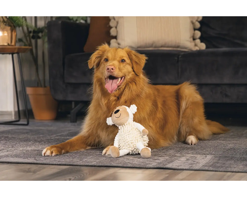 Hond ligt met knuffel op het tapijt