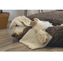 Een hond rust in een hondenmand met een knuffel.