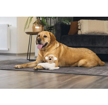 Een Labrador ligt met een hondenspeeltje op een kleed in de woonkamer.