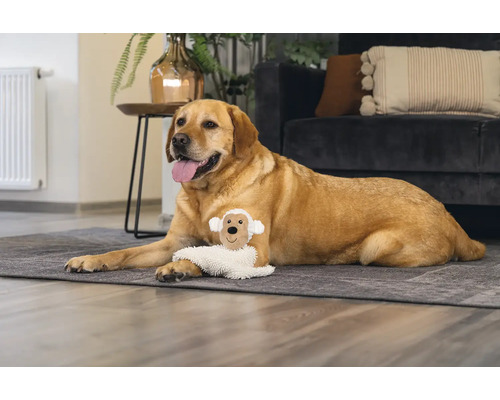 Een Labrador ligt met een hondenspeeltje op een kleed in de woonkamer.