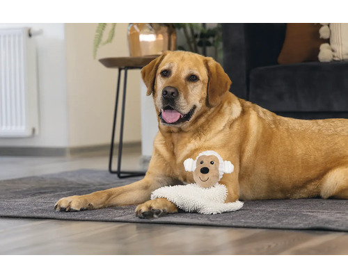 Een labrador ligt met een schapenknuffel op een vloerkleed.