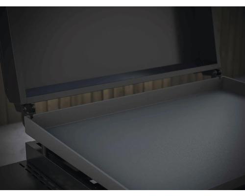 Grillplaat met open deksel