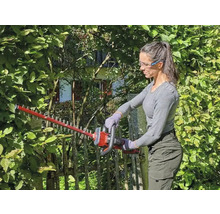 Vrouw snoeit heg met een heggenschaar