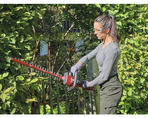 Vrouw snoeit heg met een heggenschaar