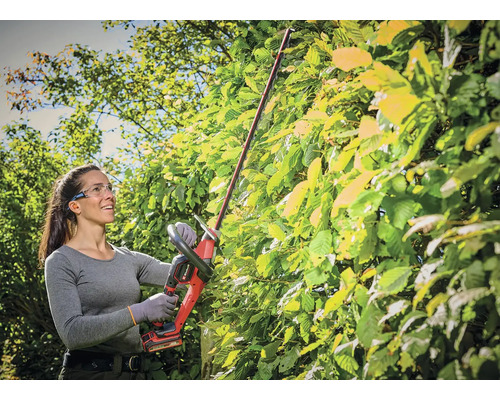 Vrouw snoeit heg met accu heggenschaar in de tuin.