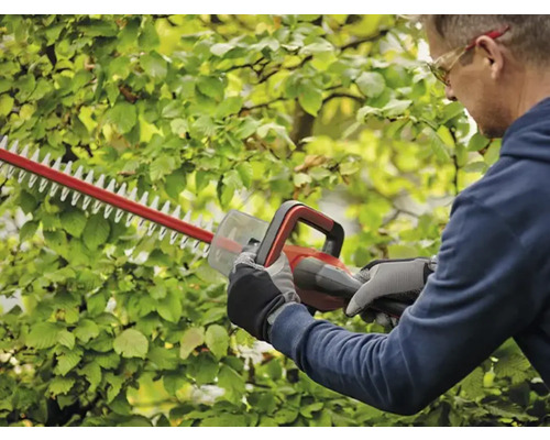 Man snoeit heg met een heggenschaar