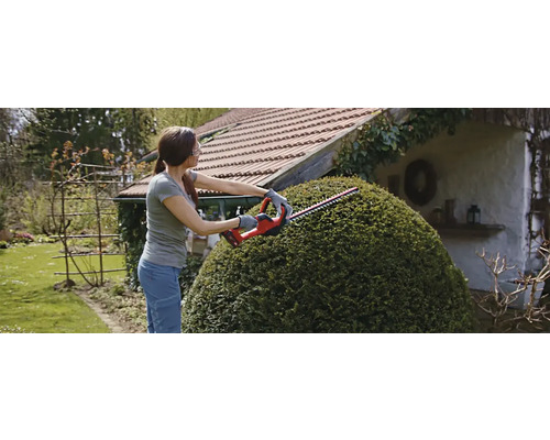 Vrouw snoeit heg met een heggenschaar in de tuin.