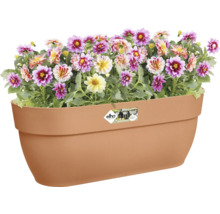 Bloembak met bloeiende dahlia''s